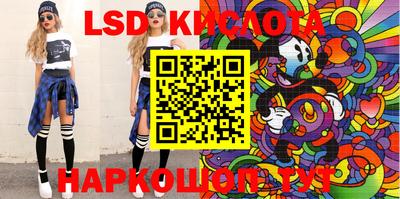 2c-b Кингисепп