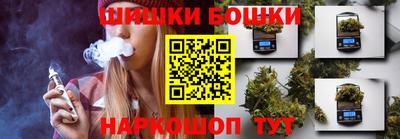 2c-b Кингисепп