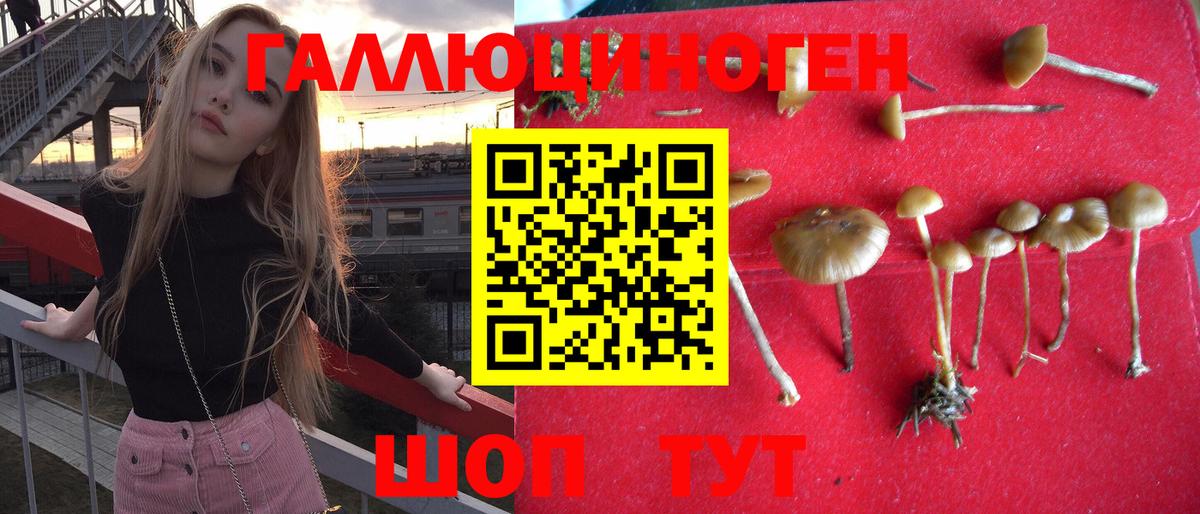 Псилоцибиновые грибы прущие грибы  Вход с VPN  Балтийск 