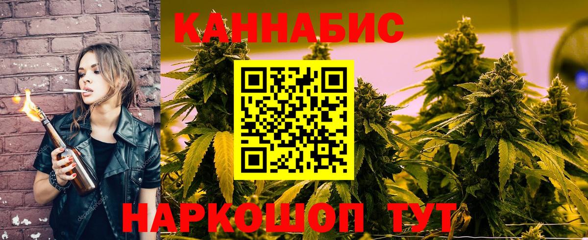 Бошки Шишки планчик Балтийск